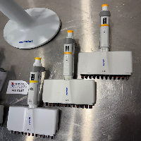 Eppendorf Research Plus x6 Multichannel Pipettes image 2